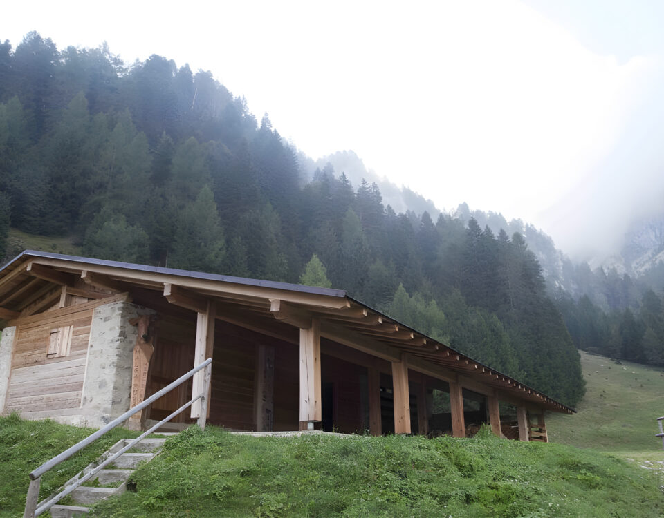 RISANAMENTO MALGA PURA