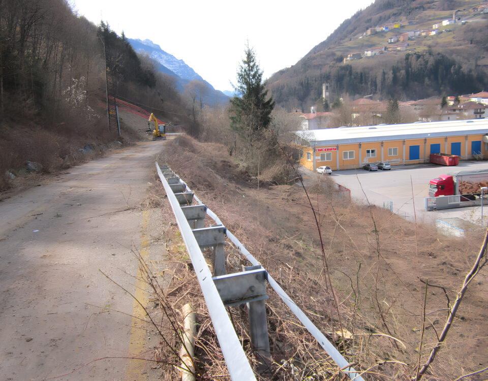 TAGLIO VEGETAZIONE Collini Spa